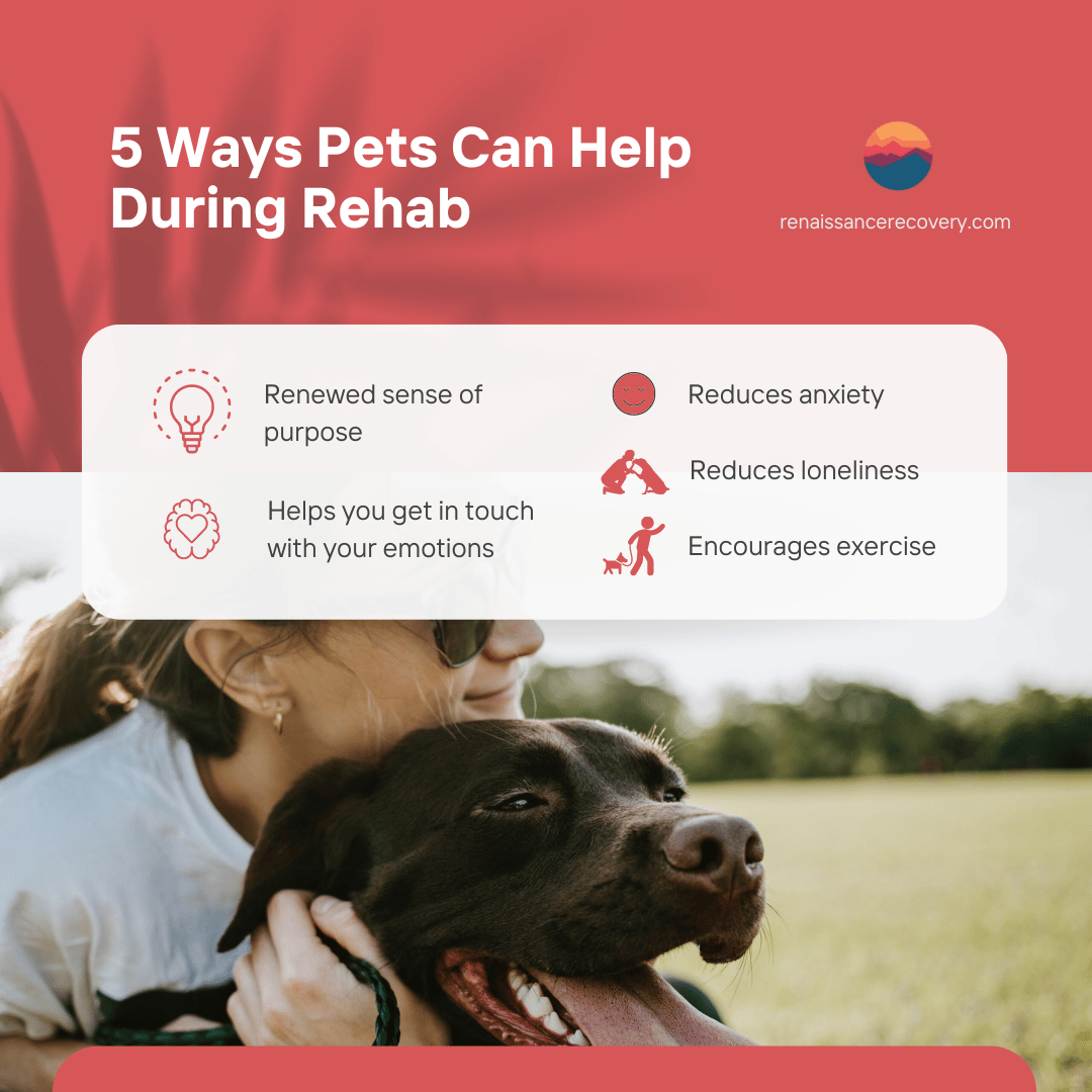 An infographic for pet friendly rehab