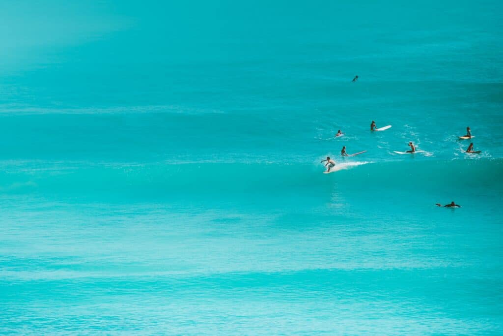 An image of people surfing in Ocean Therapy