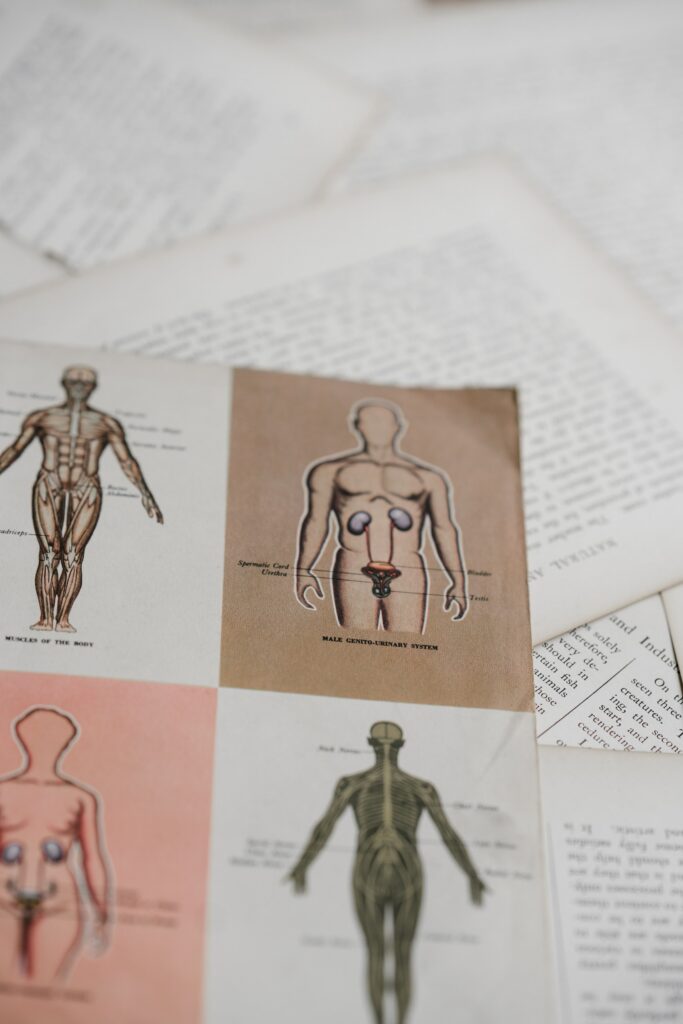 photo of a page of a medical book that shows different aspects of the human body