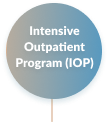 Intensive Outpatient Program (IOP) icon