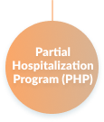 Partial Hospitalization Program (PHP) icon