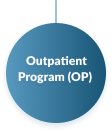 Outpatient program (OP) icon